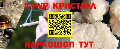 гашик Камышлов