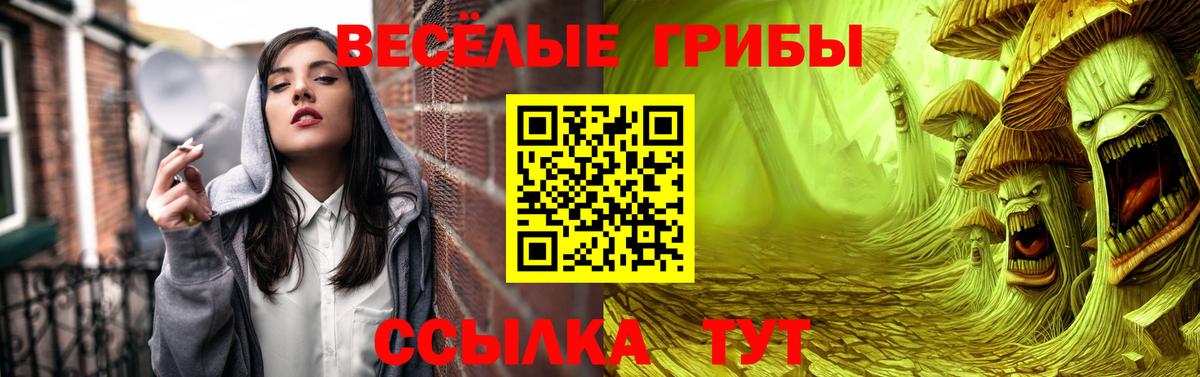 Кунгур  Псилоцибиновые грибы ЛСД  как найти   Вход с VPN 